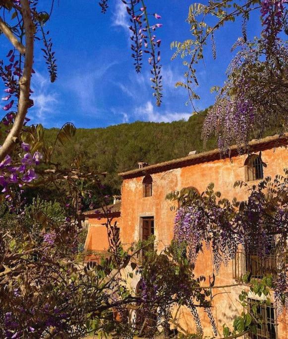 Villa Catalina Aka Villa Almanita Sant Pere De Ribes Exterior foto